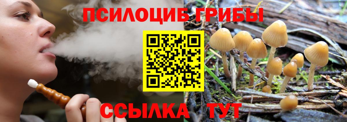 Псилоцибиновые грибы Cubensis Донецк