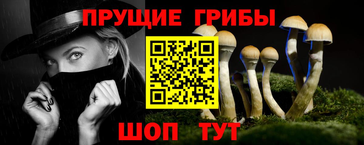 Донецк  Галлюциногенные грибы Cubensis  Галлюциногенные грибы Psilocybine cubensis  Вход с VPN 